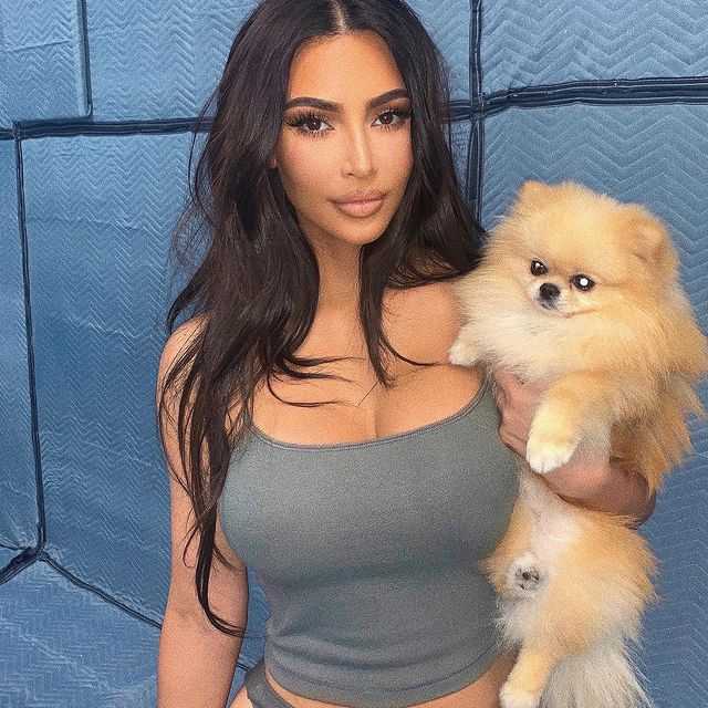 Kim Kardashian ao lado de seu Pet. (Foto: Reprodução/ Instagram)