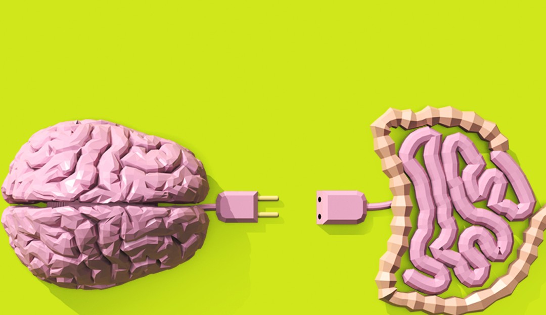 Como os micróbios no seu intestino podem influenciar sua ansiedade