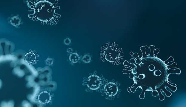 Covid-19: destaques da semana sobre o Scars-CoV-2