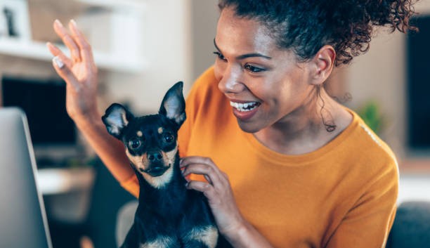 Cresce o número de pais e mães de pet no Brasil