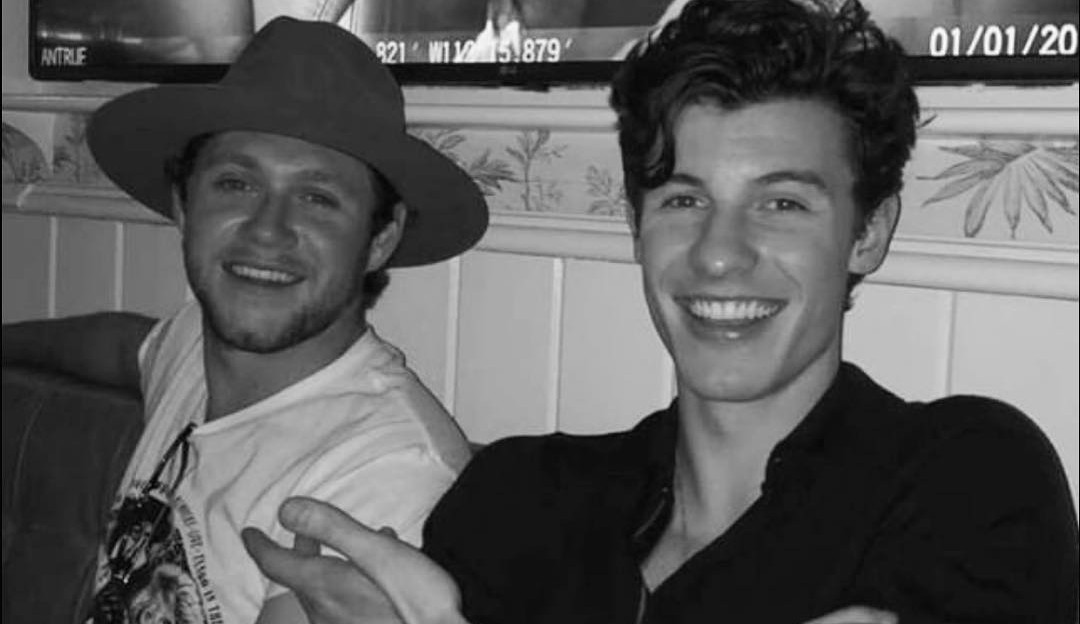 Niall Horan e Shawn Mendes conversam sobre colaboração