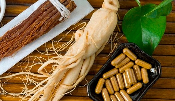 Ginseng: para que serve a planta medicinal
