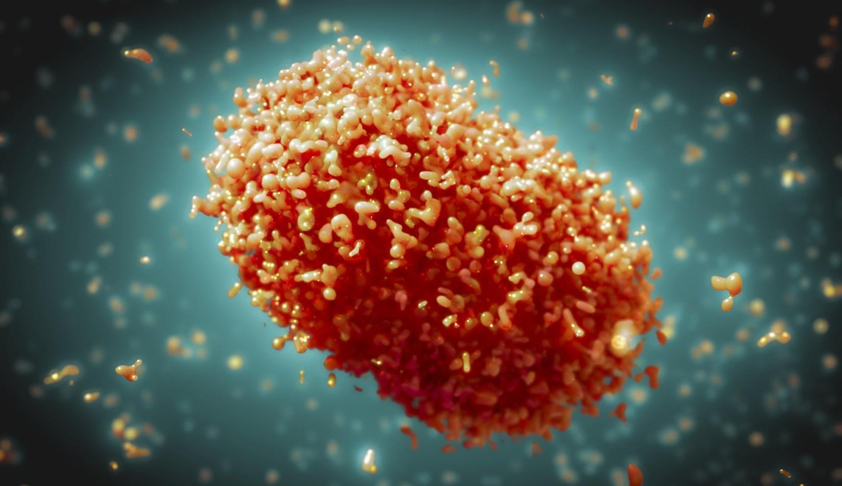 OMS pede ação “urgente e coordenada” contra a varíola dos macacos