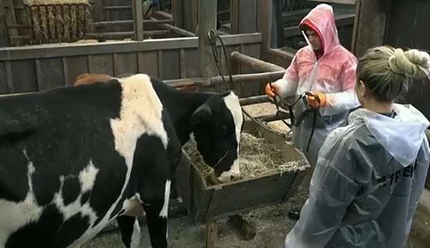 A Fazenda 14: Lucas Santos leva advertência por maus tratos aos animais