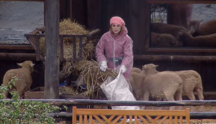 A Fazenda 14: Deborah recusa ajuda de Rosi e peoas trocam farpas