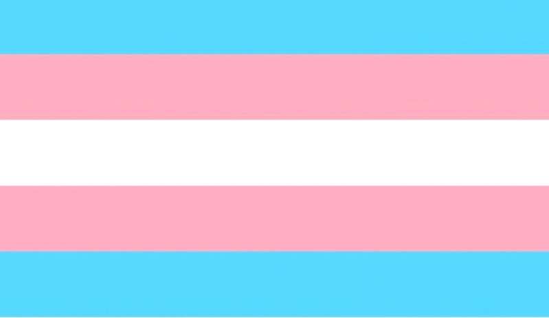 Escola Técnica do Instituto Albert Einstein capacita pessoas trans em SP