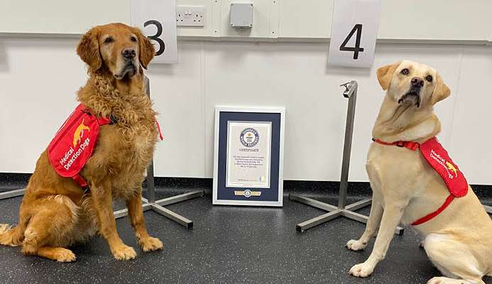 Cães entram no livro dos recordes ao identificarem 28 doenças pelo olfato