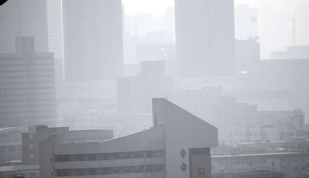 Exposições a poluição causam problemas cognitivos