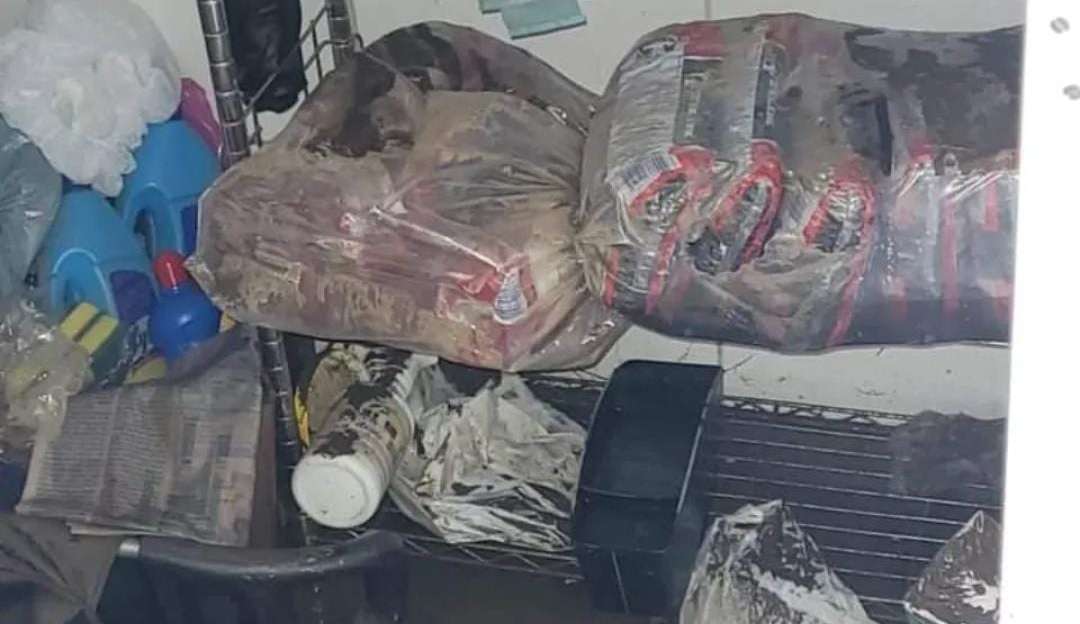 Alimentos são perdidos em ONG no Jacarezinho devido a chuvas fortes