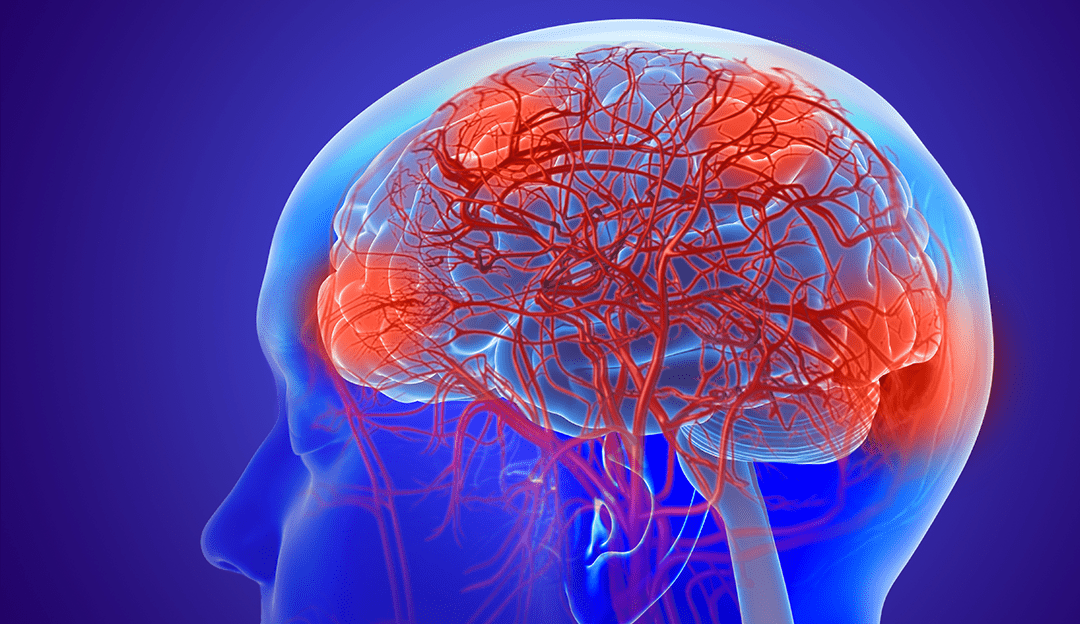 Estudo mostra como boa alimentação pode prevenir o Alzheimer