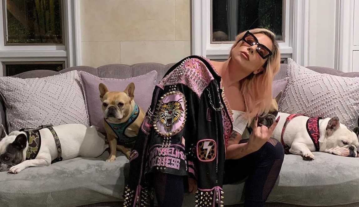 Suspeitos de sequestrar cachorros de Lady Gaga são indiciados