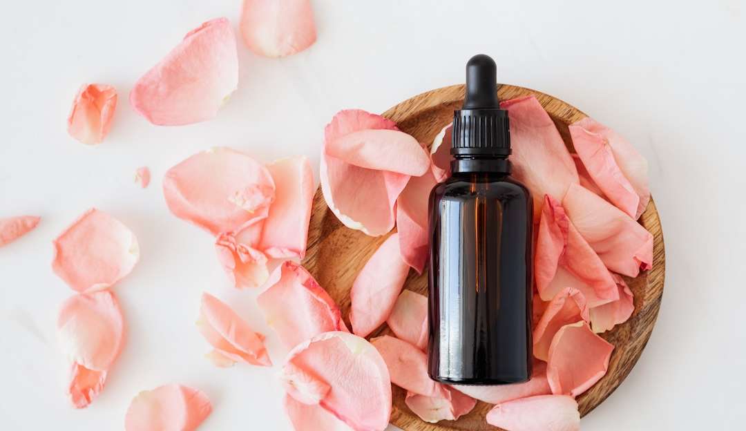 Óleos vegetais ajudam a manter hidratação da pele no frio