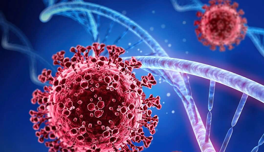 Cientistas brasileiros criam remédio capaz de destruir o vírus da covid-19