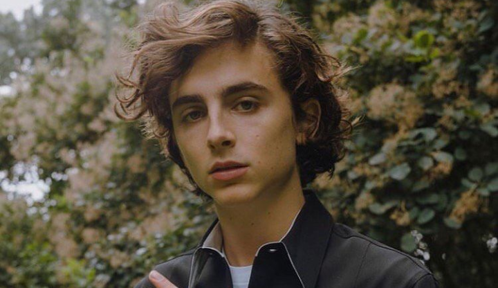 Timothée Chalamet interpretará Willy Wonka em novo filme da Warner Bros