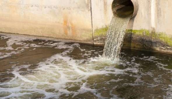 OMS afirma que metade da população não tem saneamento básico