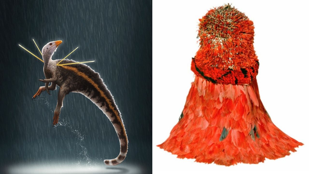 Artefatos históricos que haviam sido saqueados voltam ao Brasil