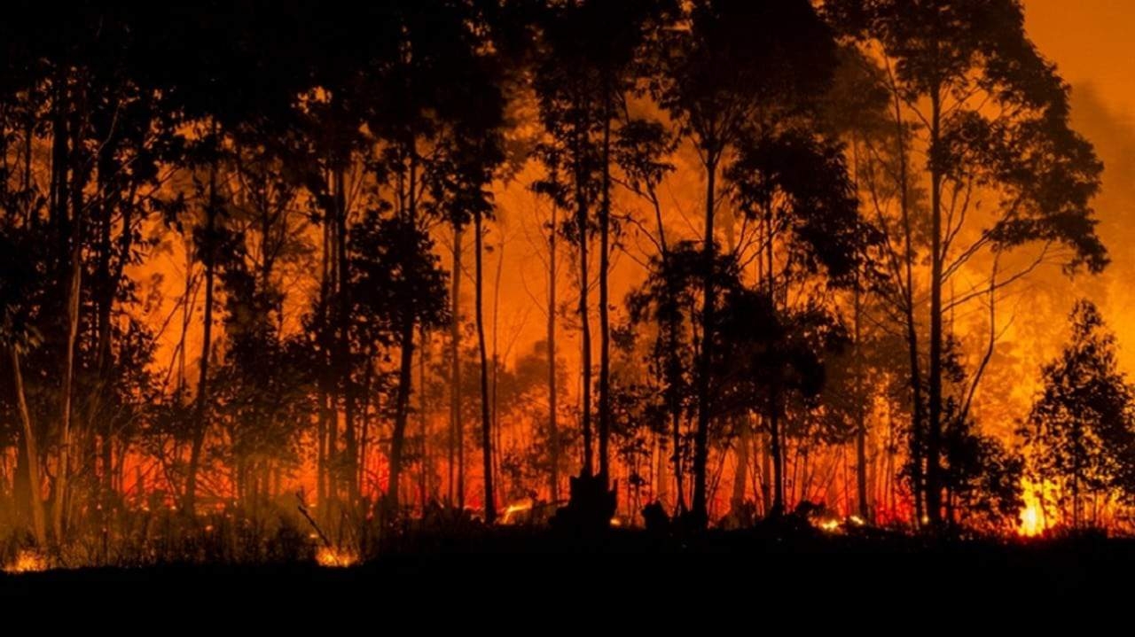 Brasil envia combatentes para enfrentar incêndios no Canadá