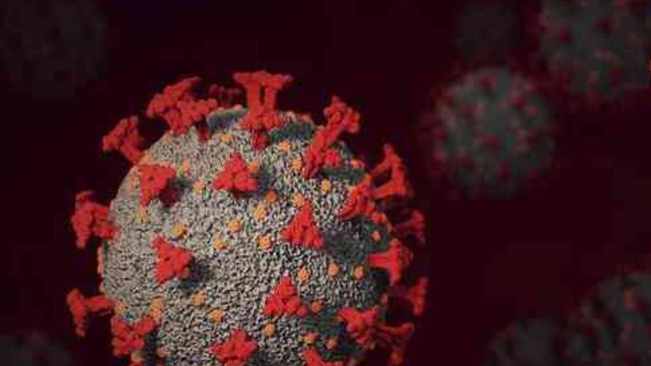 Identificado primeiro caso de Eris no Brasil