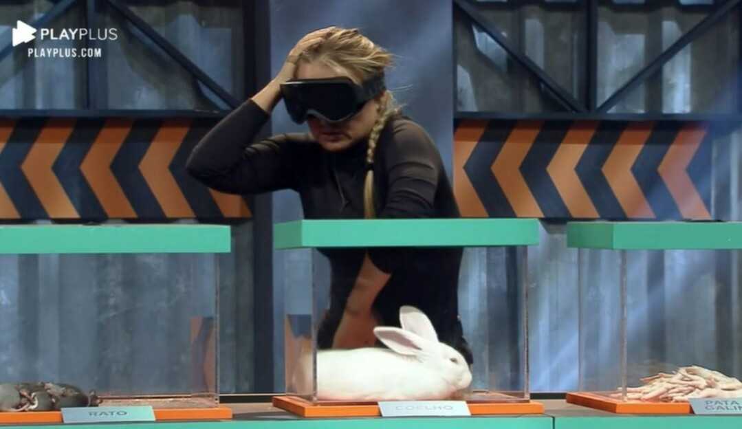 Prova de “Power Couple” vira alvo de internautas por usar animais: “Que absurdo”