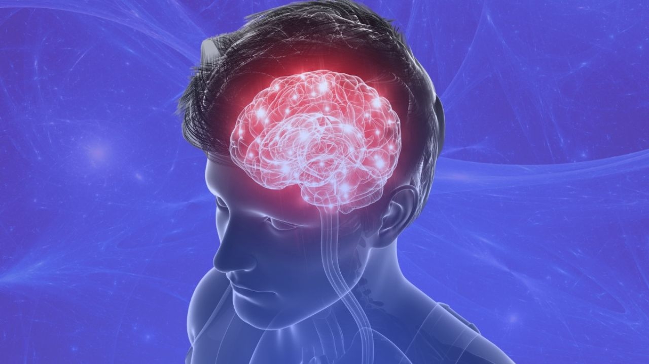 Nootrópico Focus X, novidade no Brasil, desenvolvido para o aumento da memória, concentração, foco e produtividade