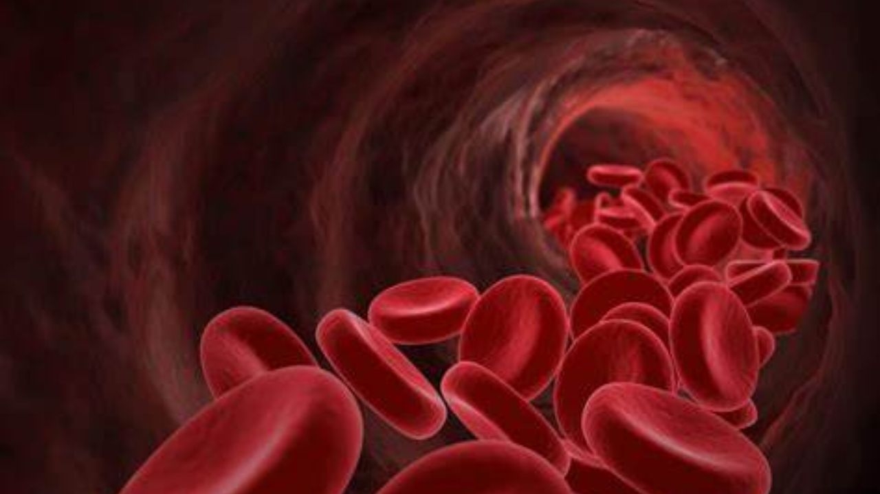 Anvisa aprova nova forma de tratar Trombose Venosa Profunda