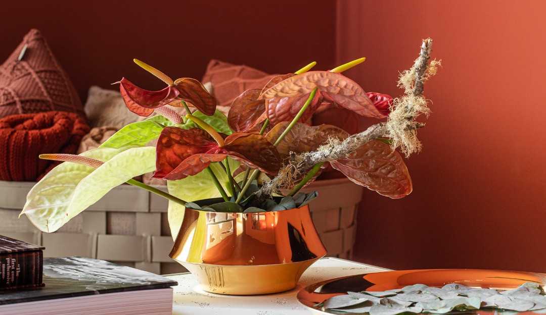 St. James apresenta versão gold da coleção Femme