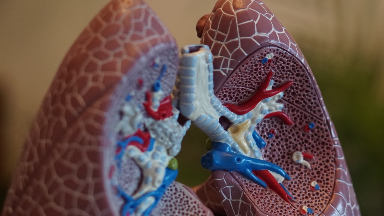 Ministério da Saúde pode incluir exame de tomografia de pulmão no calendário do SUS