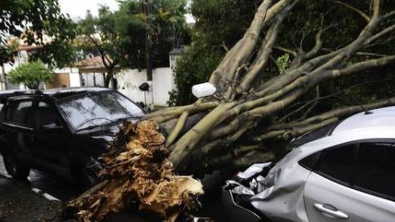 Após tempestade devastadora em São Paulo, número de vítimas fatais sobe para sete