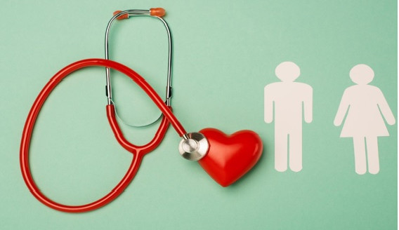 Mito desconstruído: Colesterol é vital para seu corpo