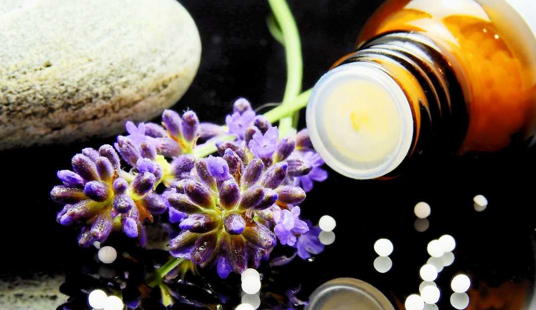 Entenda quais são os melhores aromas para cada cômodo de sua casa