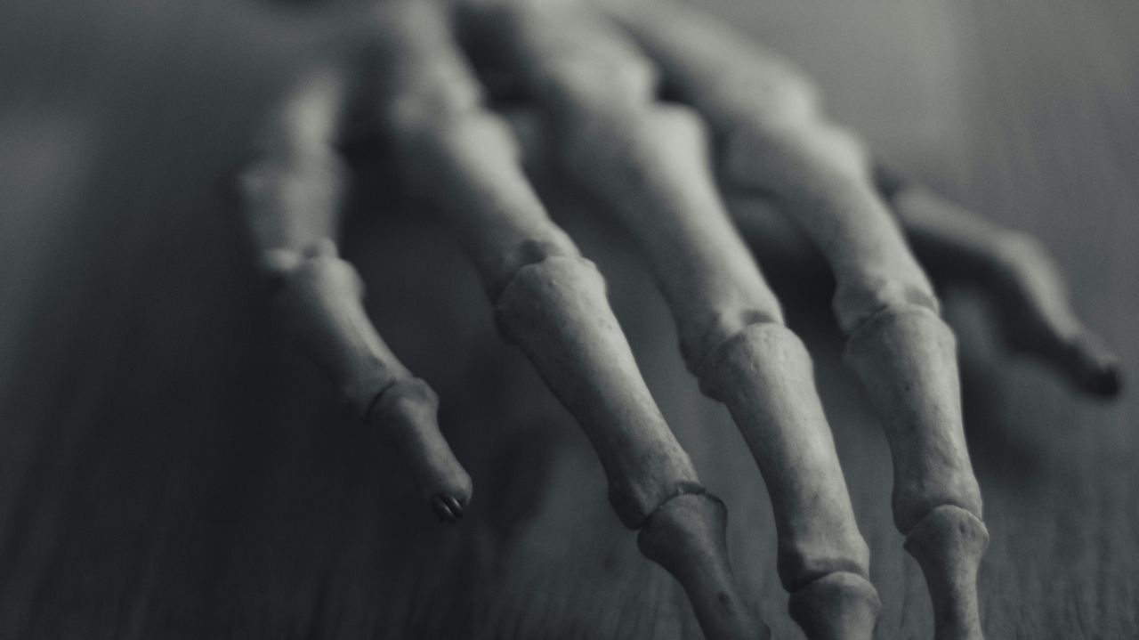 Startup brasileira desenvolve biomaterial que pode substituir estruturas ósseas