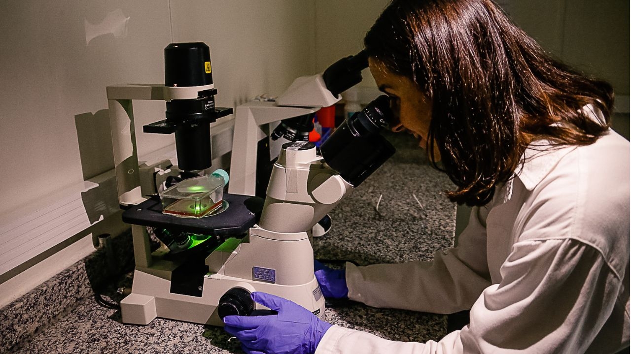 Bactérias-espelho: criação de organismos pode trazer riscos sem precedentes