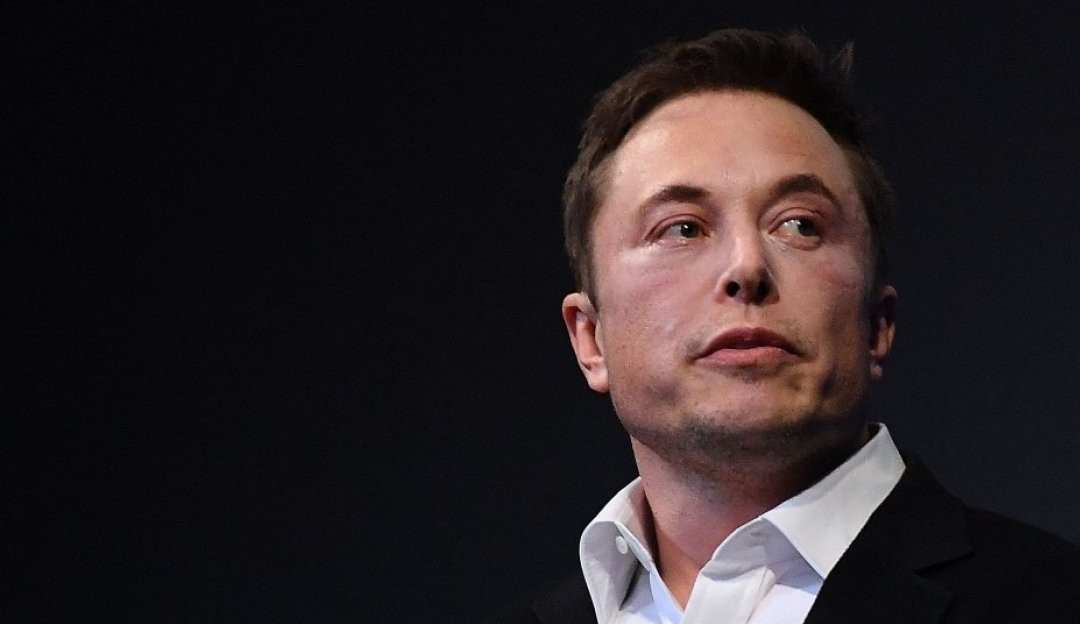 Elon Musk,após publicação com a foto de seu cachorro, promove o aumento de criptomoeda