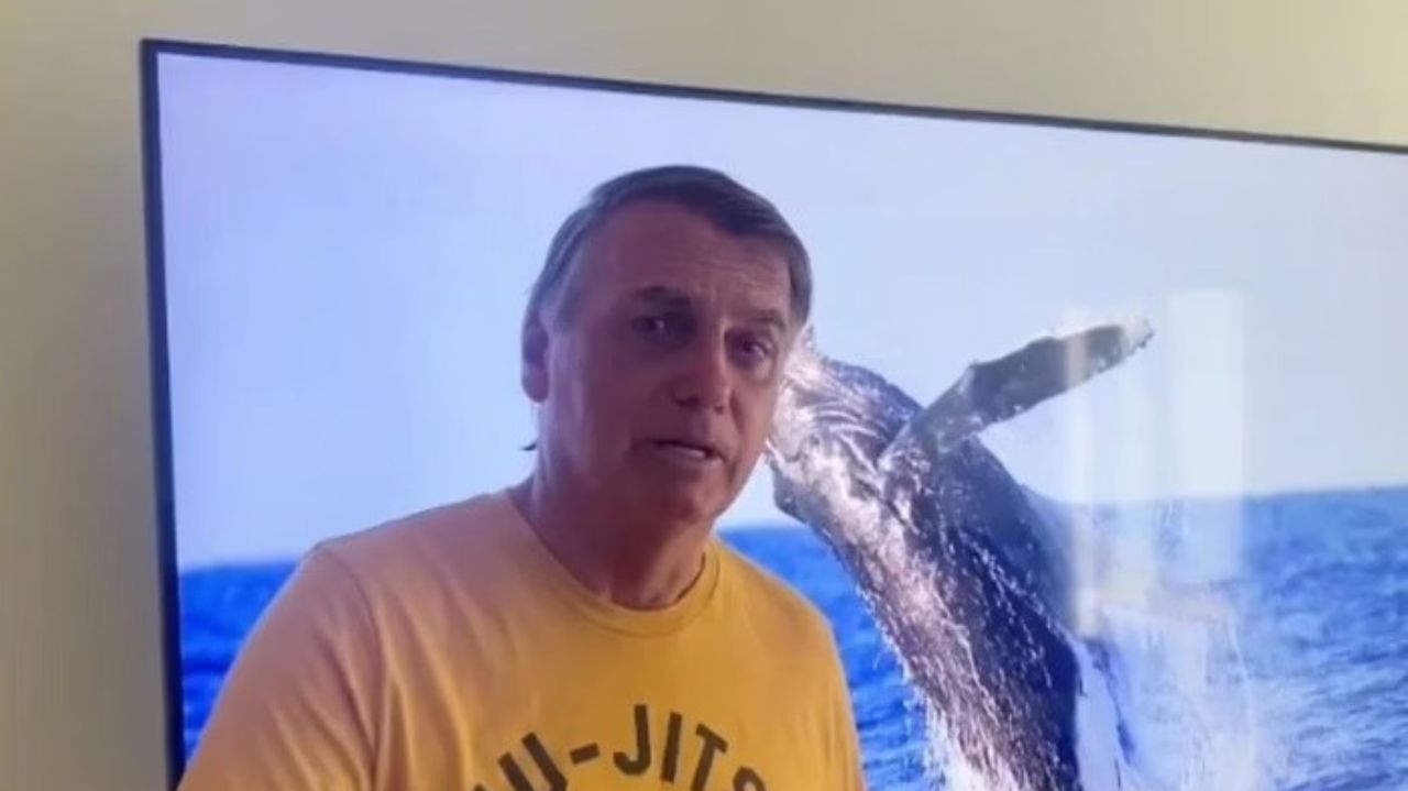 Ministério Público Federal arquiva caso contra Bolsonaro por importunar uma Baleia-jubarte