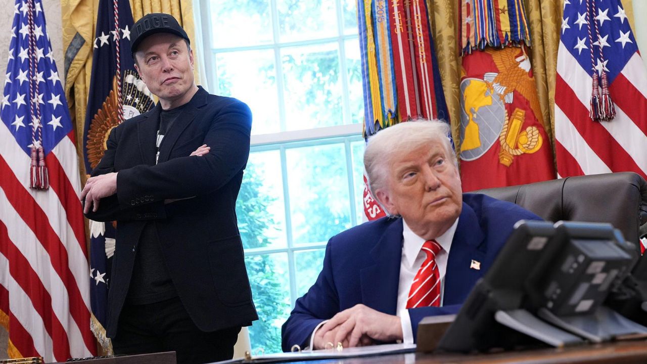 Presidente Trump dá entrevista coletiva com Elon Musk no Salão Oval da Casa Branca I Reprodução/ 	Kevin Dietsch/ Getty Images Embed