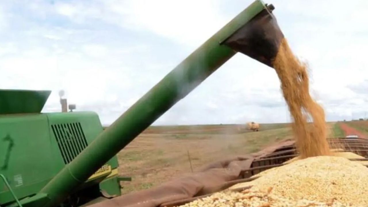 Agronegócio será afetado com taxação | Reprodução/Agência Brasil