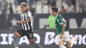 Botafogo vê desempenho em casa cair e acende alerta no Brasileirão
