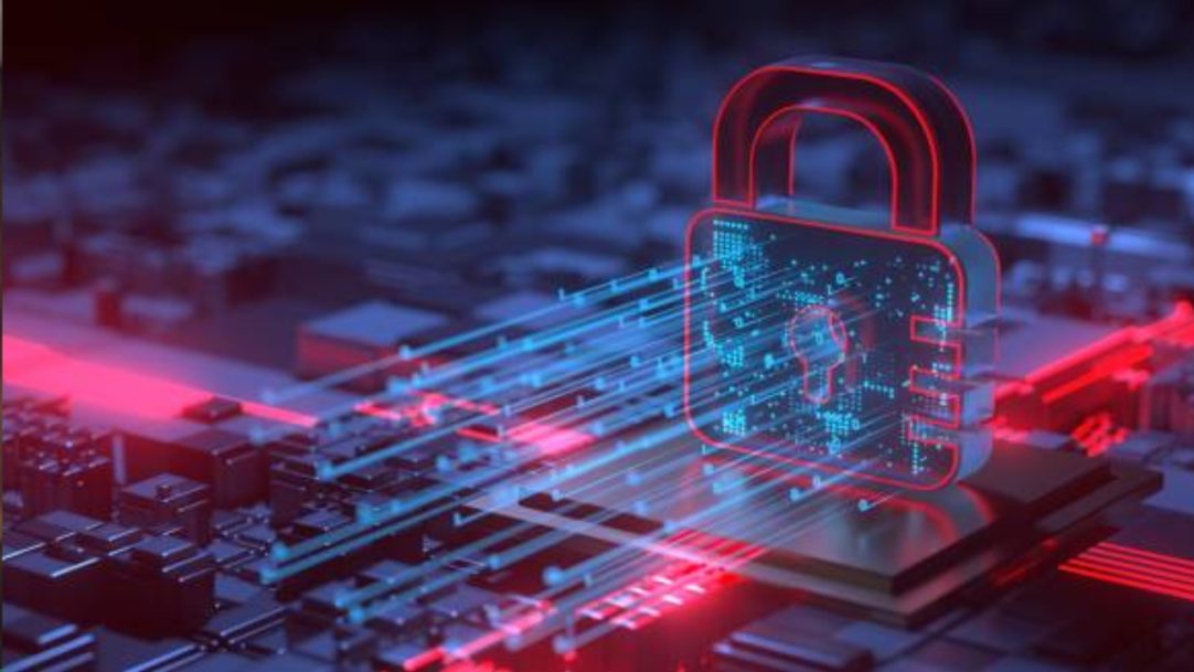 Whalemate recebe investimento de R$ 6 milhões da Parceiro Ventures e prepara expansão no Brasil