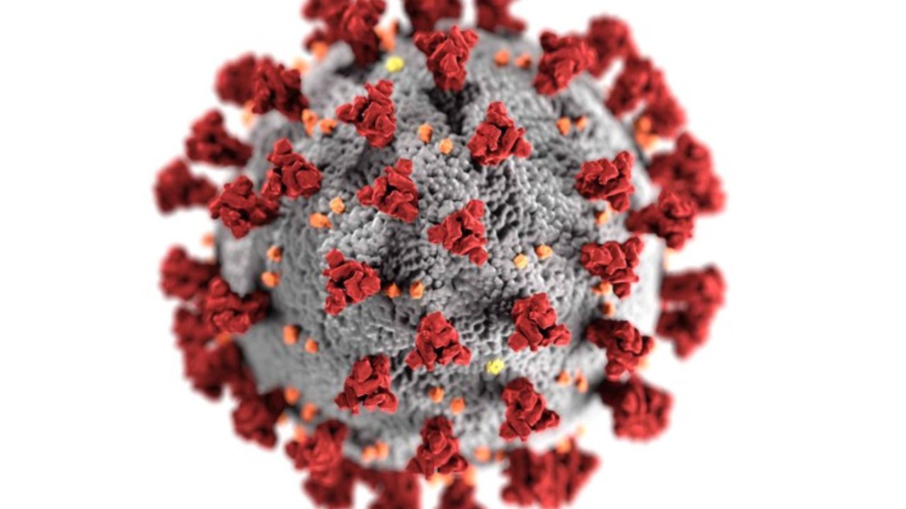 Covid-19 | Reprodução/ Unsplash/ UFMG