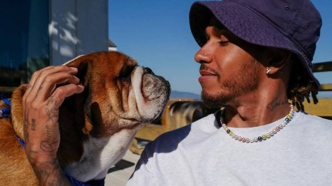 Fórmula 1 apoia Hamilton após morte de Roscoe