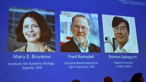 Nobel de Medicina 2025: quem são e o que descobriram os vencedores