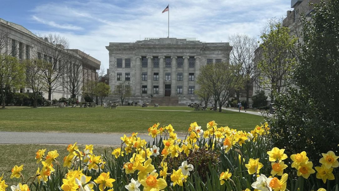 Com recorde de doações, fundo patrimonial de Harvard passa dos US$ 56 bilhões