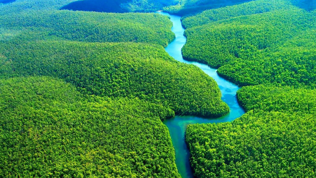 Congresso aprova Belém como capital durante a COP30