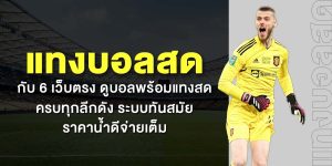 แทงบอลสด กับ 6 เว็บตรง ดูบอลพร้อมแทงสด ครบทุกลีกดัง ระบบทันสมัย ราคาน้ำดีจ่ายเต็ม