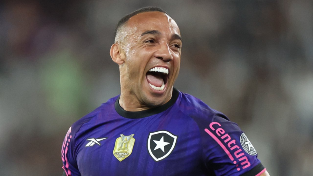 Botafogo vence Grêmio no Niltão e confirma vaga na Libertadores 2026